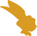Rabbit Immo